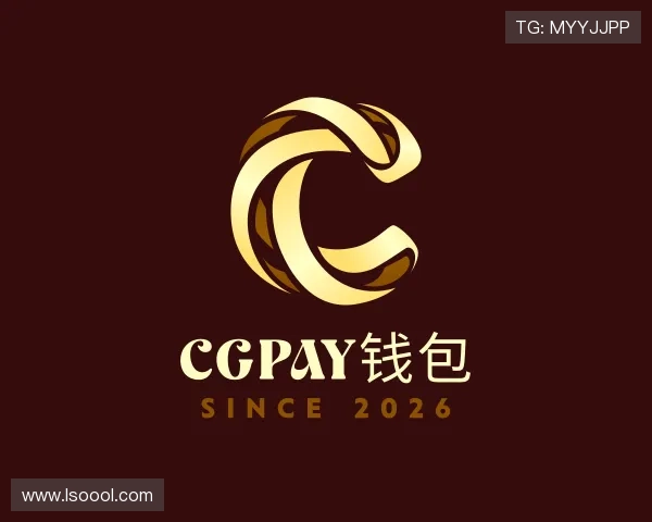 解读CGPay